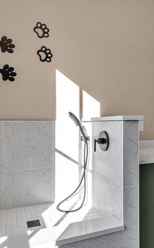 Paxton Dog Wash